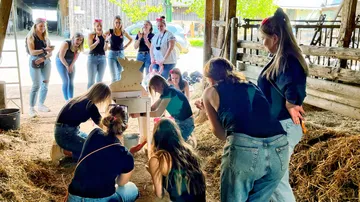 Frauen posieren fröhlich in einem Bauernhofstall mit Spiel.