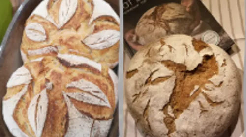 Zwei brotähnliche Objekte mit verschiedenen Mustern und Texturen.