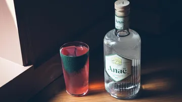 Glas mit Getränk und ginflasche auf Holzoberfläche.