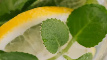 Zitronenscheibe und grüne Blätter in klarem Wasser.