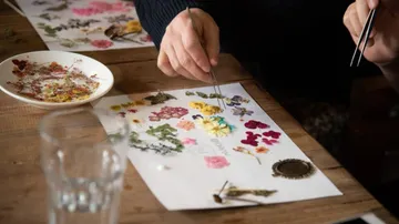 Blumen werden mit einer Pinzette auf Papier platziert.