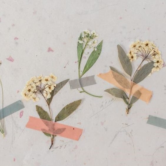 Flower Press Workshop in Köln