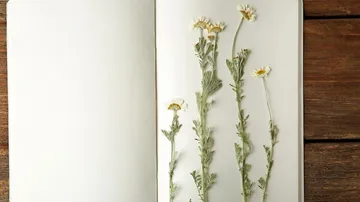 Dried flowers on an open page of a notebook.