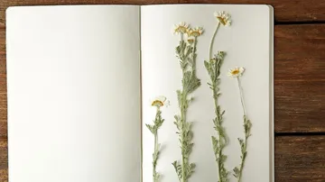 Getrocknete Blumen liegen im offenen Notizbuch auf Holz.