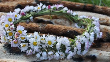 Wreath of flowers lies on a brown, spotted surface.