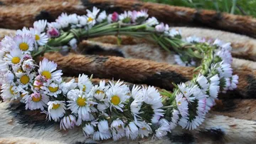 Flower wreath lies on a soft, brown background.