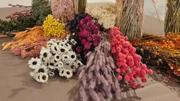 Bunte Trockenblumen liegen auf einem Tisch.