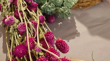 Getrocknete, violette Blumen auf einem Tisch arrangiert.