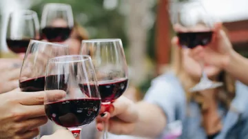 Wine glasses are lifted while people party outdoors.