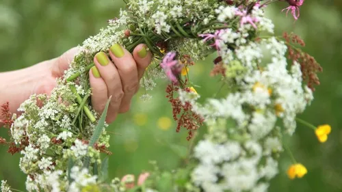 Eine Hand hält einen Blumenkranz in einem Feld.