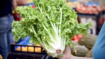 Fresh head vegetables are kept in a market.