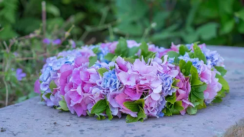 Bunte Blumenkrone liegt auf Stein, umgeben von Natur.