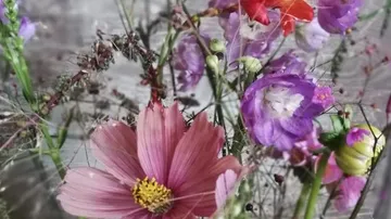 Colourful flowers stand close together in an arrangement.