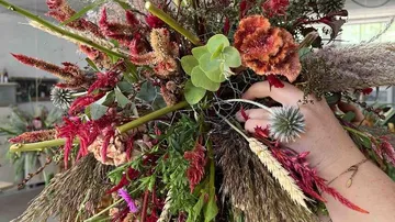 Bouquet of flowers is arranged with one hand, the surrounding area is plants.