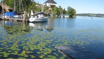 Boats swim in calm water among water lilies.