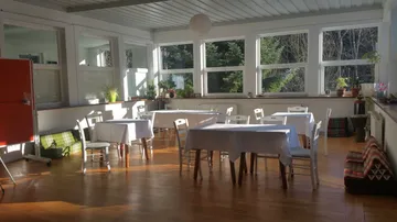 Empty tables are placed in a bright, sunny room.