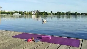 Lila Yogamatte auf Holzsteg, Beobachtung eines Schwans im Wasser.