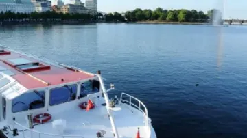 Ein Boot fährt auf ruhigem Wasser, umgeben von Bäumen.