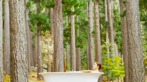 Person in bathtub amidst forest trees.