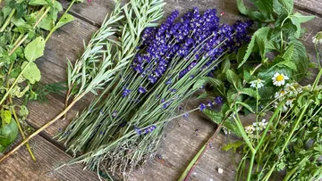 Various herbs lie on a wooden tray.