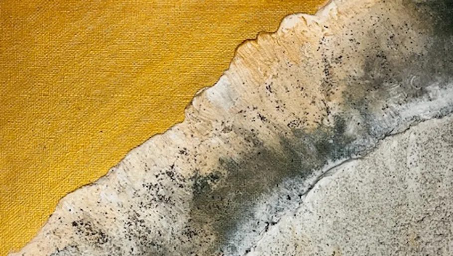Two textured areas of color meet; abstract composition.