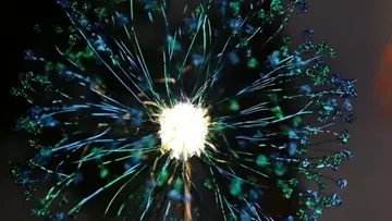 Leuchtende Blüte mit strahlenden, bunten Fäden vor dunklem Hintergrund.