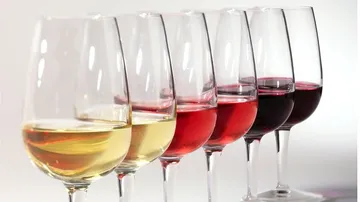 Sechs Weingläser mit unterschiedlichen Weinsorten in Reihe.