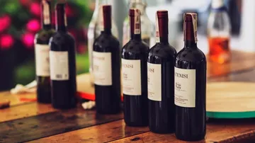 Red wine bottles are placed side by side on a wooden table.
