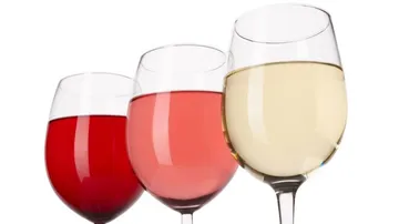 Drei Weingläser stehen aufrecht, gefüllt mit unterschiedlichen Weinen.