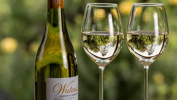 Weinflasche und Gläser mit Weißwein vor grünem Hintergrund.
