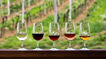 Five wine glasses filled with various wines stand in front of vineyards.