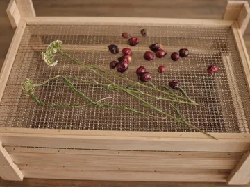 Grid frame with dried plants and fruits on it.