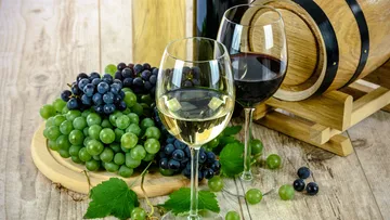 White and red wine glasses stand next to grapes and a wooden barrel.