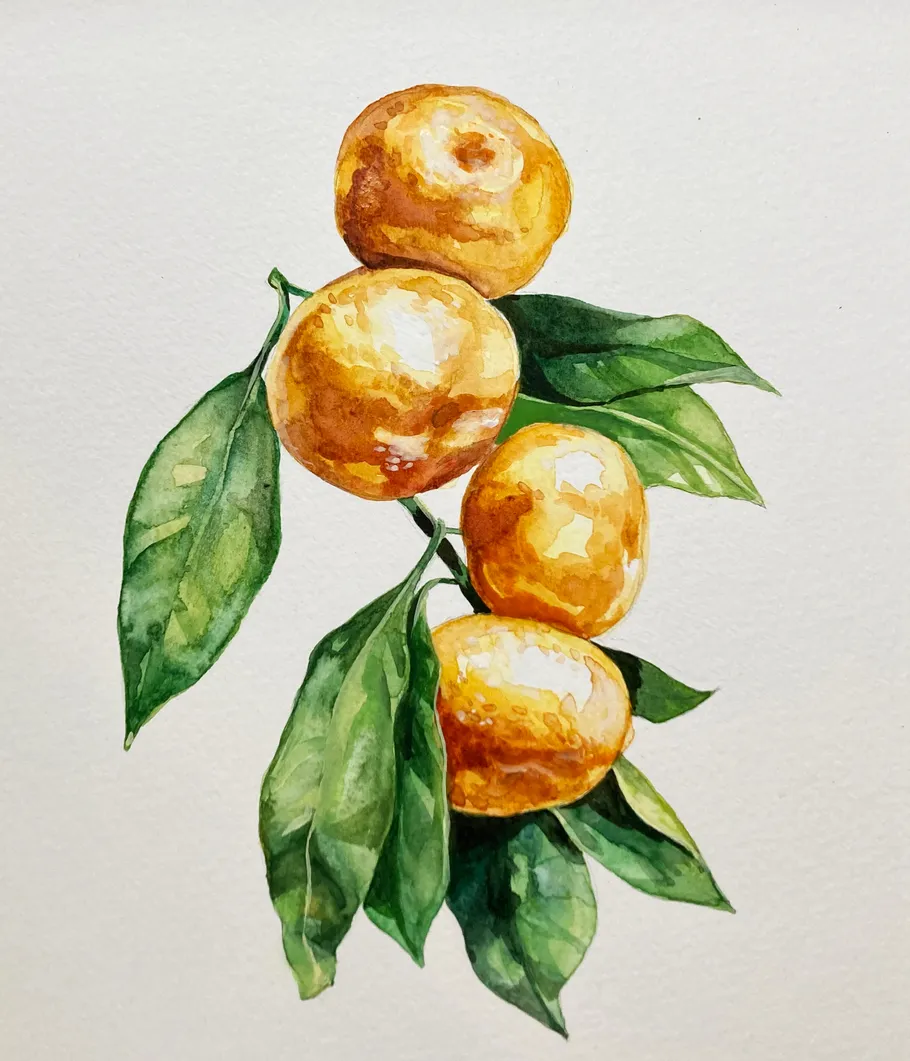 Ripe, golden fruits hang from green leaves.