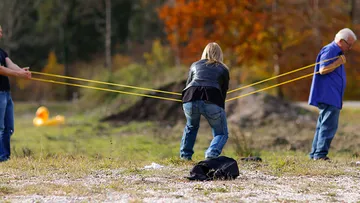 Three people pull a rubber cord in nature.