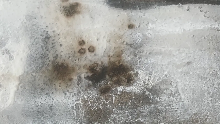 White background with brown spots and cracks.
