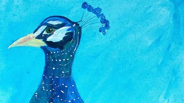 A peacock looks majestically against a blue background.