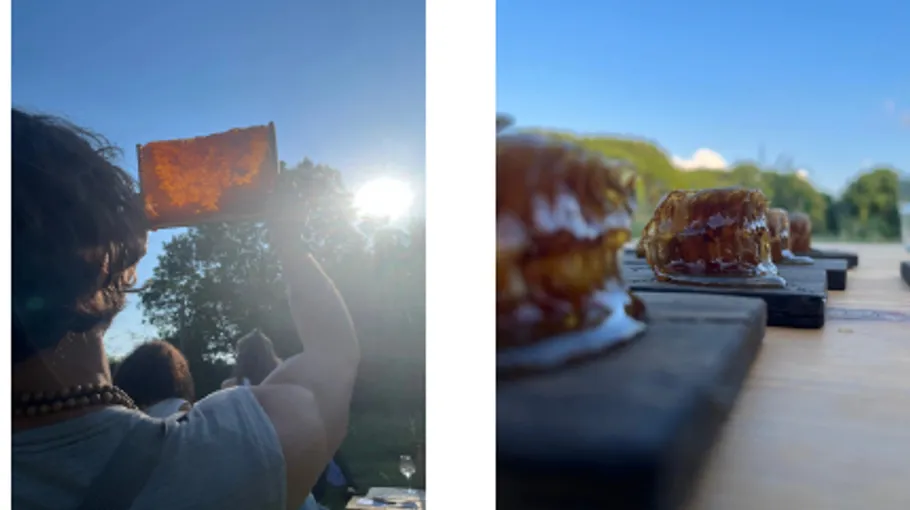Person hält eine reflektierende Oberfläche gegen die Sonne.