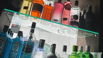 Verschiedene Gin-Flaschen stehen auf einem Regal.