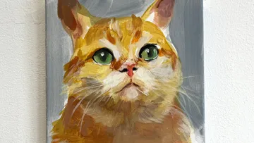 Katzenporträt schaut aufmerksam in die Ferne vor grauem Hintergrund.
