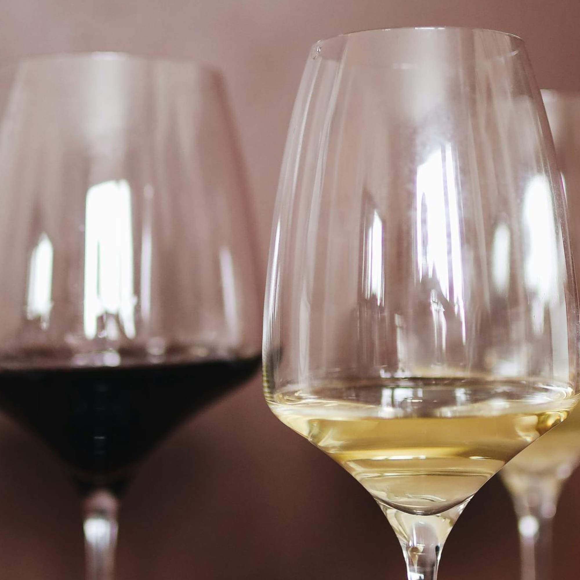 Malen mit Wein: Kreative Auszeit in Magdeburg