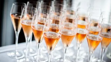 Champagne glasses are lined up, filled with rose-colored drink.