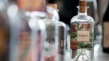 Glass bottle with “RUBUS” label surrounded by other bottles.
