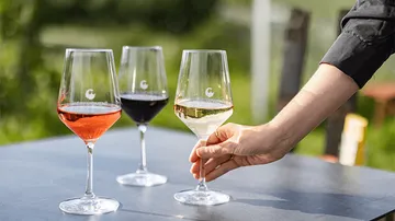 A person raises a wine glass on a table.