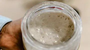 Ein Glas mit schäumendem Sauerteig wird gehalten.