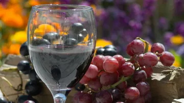 A wine glass stands next to colorful grapes in the garden.
