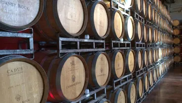 Barrels are neatly stacked in a wine cellar.