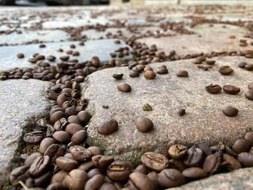 Coffee beans on stones