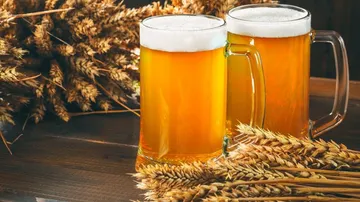 Zwei Biergläser stehen neben goldenem Weizen.