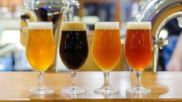 There are four glasses of beer on a wooden counter.